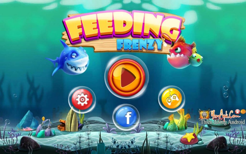 3 Feeding Frenzy