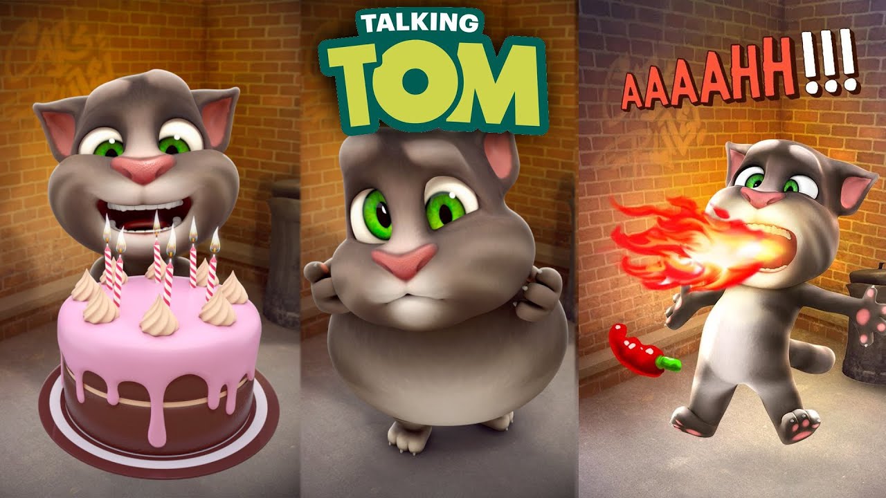 تحميل talking tom cat لعبة القط المتكلم مجانا