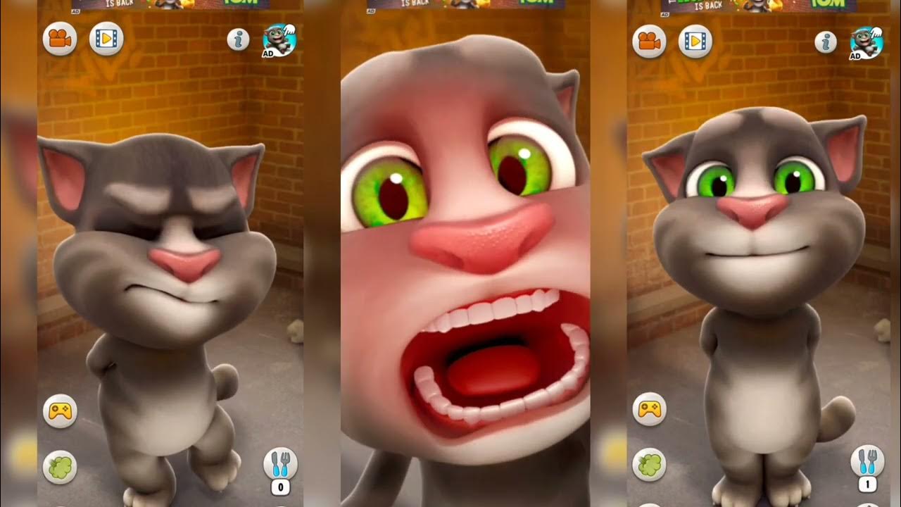 تحميل talking tom cat لعبة القط المتكلم مجانا